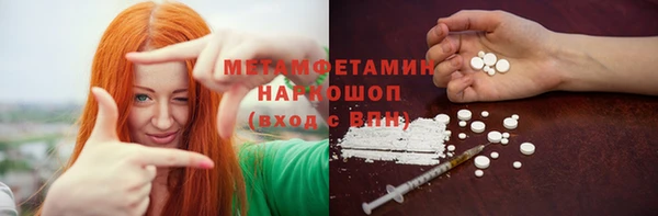 гидра Вязьма