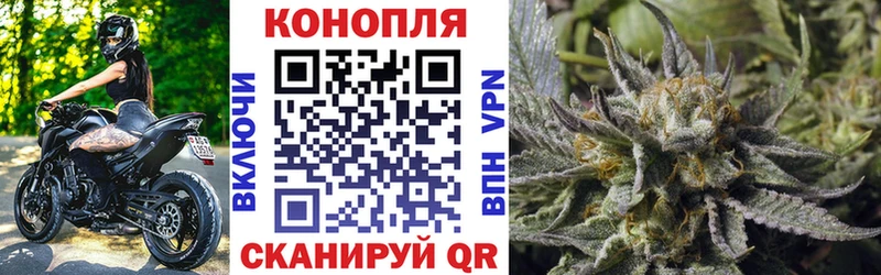 сайты даркнета как зайти  Чистополь  Бошки Шишки OG Kush 
